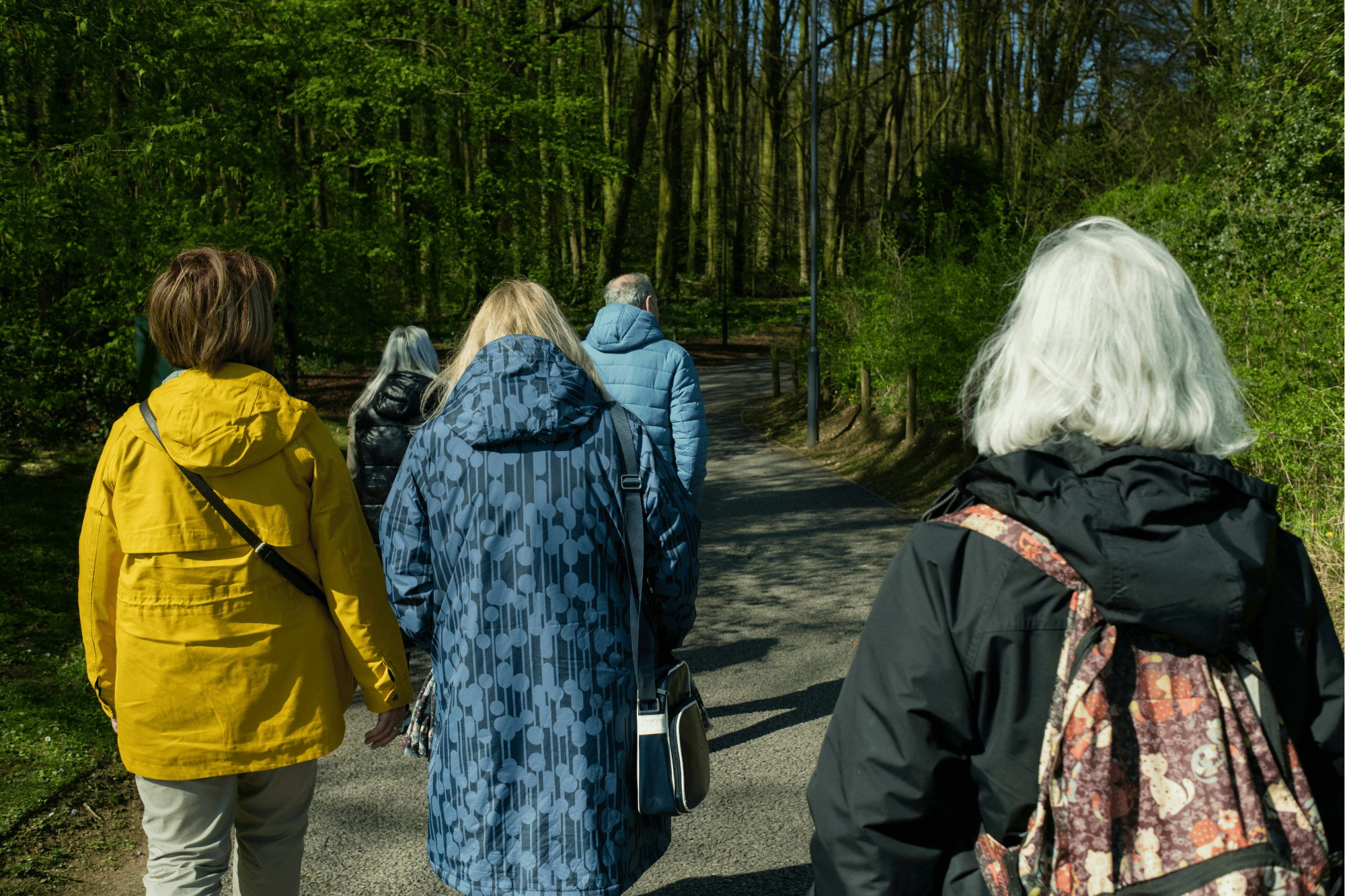 Group of older women walking together on a forest path, enjoying nature and gentle exercise